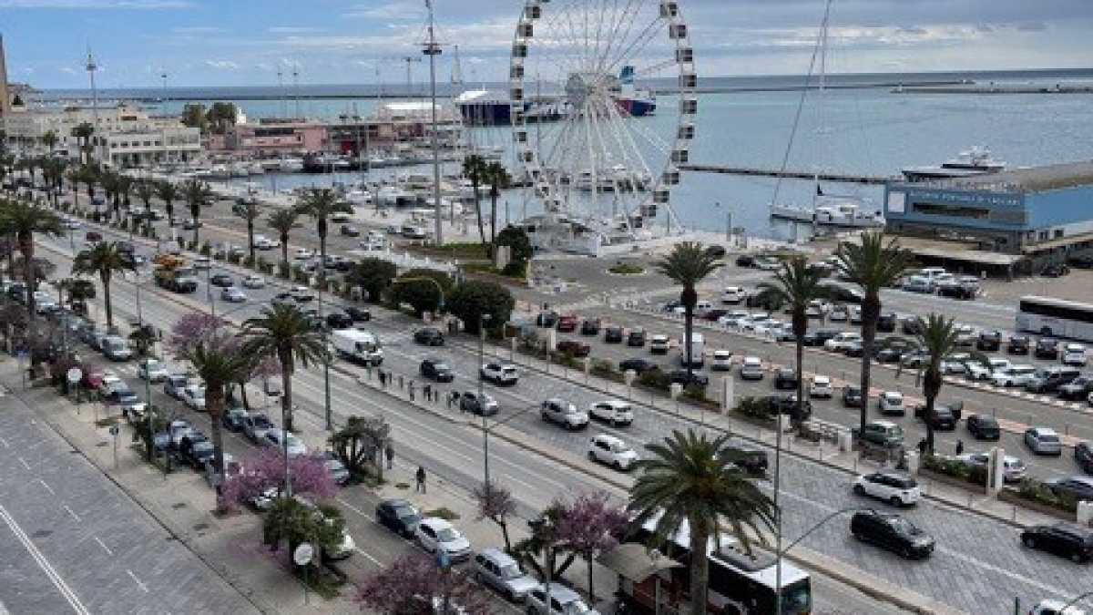 Immagine di Bianco di Sardegna