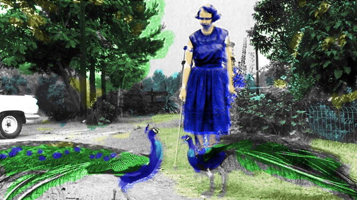 Immagine di “Io, Flannery O’Connor, vorrei sembrare una zoticona tomista”