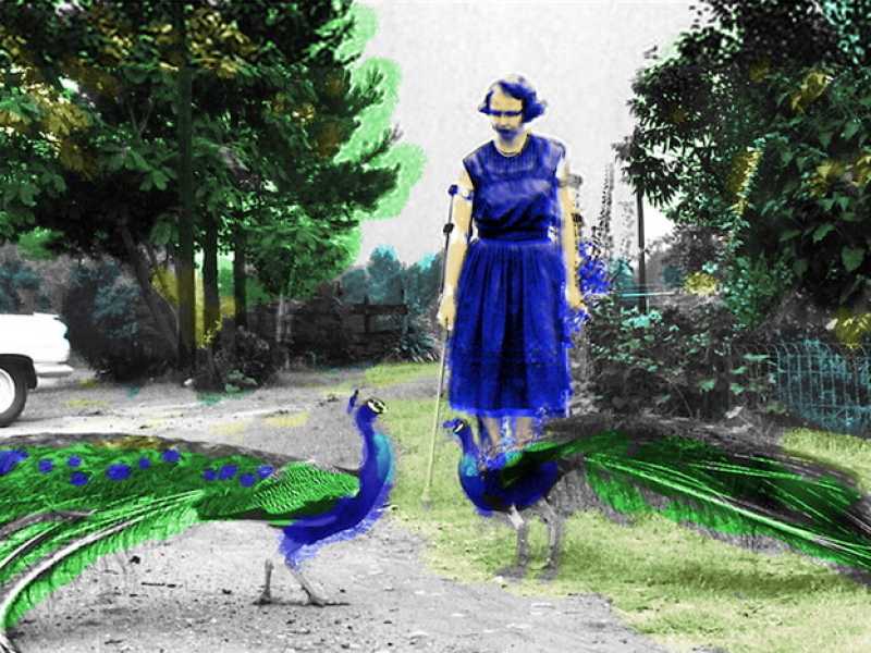 Flannery O'Connor (elaborazione grafica Enrico Cicchetti)
