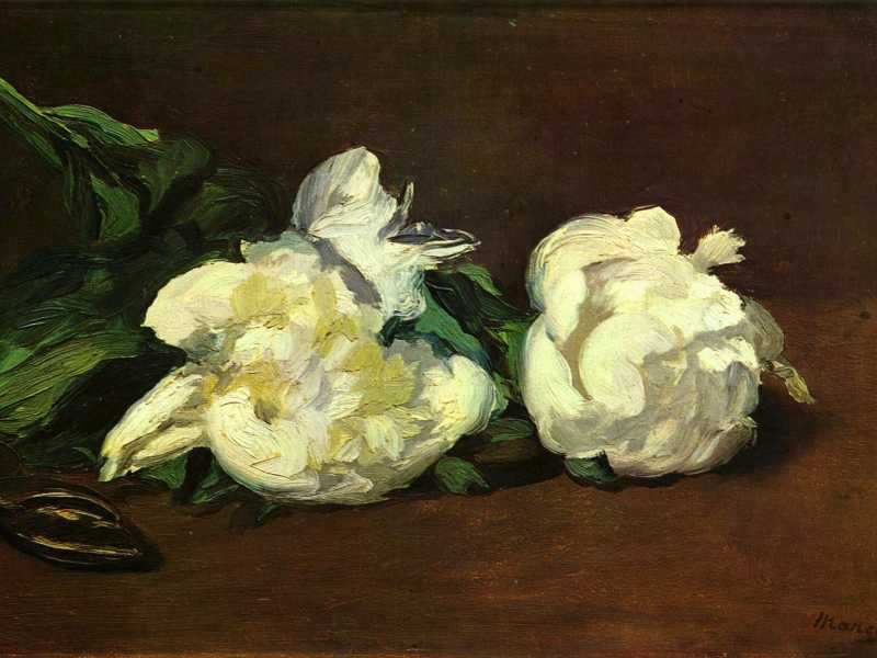&Eacute;douard Manet, <em>Due peonie bianche e un paio di forbici</em> (1864). Olio su tela (31&times;46,5 cm), Museo d'Orsay, Parigi (foto Wikipedia)
