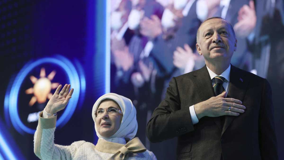 Immagine di Erdogan, il porco misogino