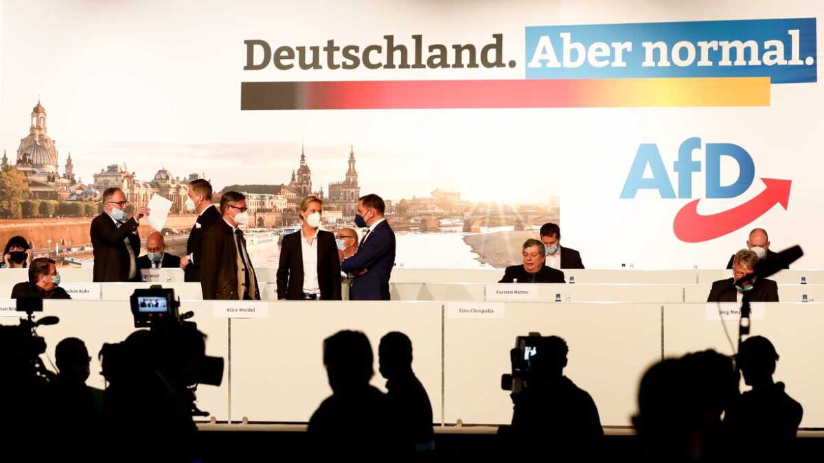 Immagine di AfD dura e pura