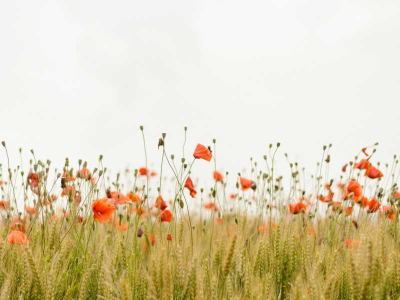 Photo by Henry Be on Unsplash&nbsp;<br />
