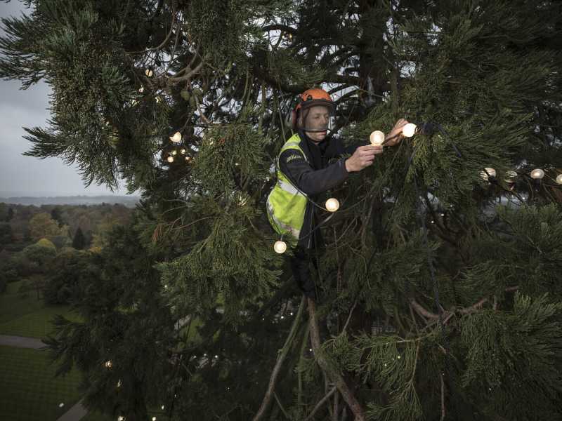 Dan Kitwood/Getty Images)&nbsp;<br />