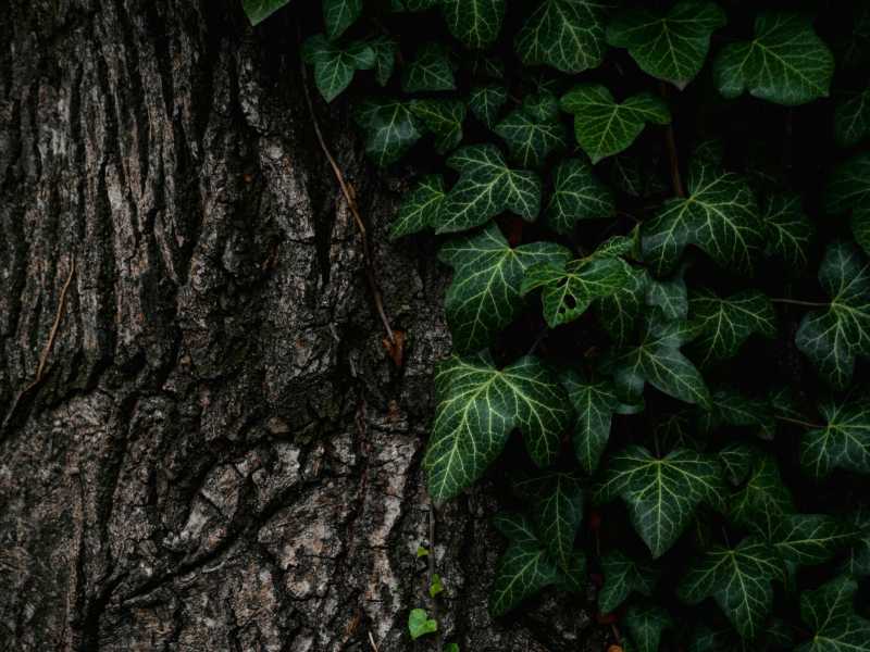 Photo by Bogdan Locovei on Unsplash&nbsp;<br />