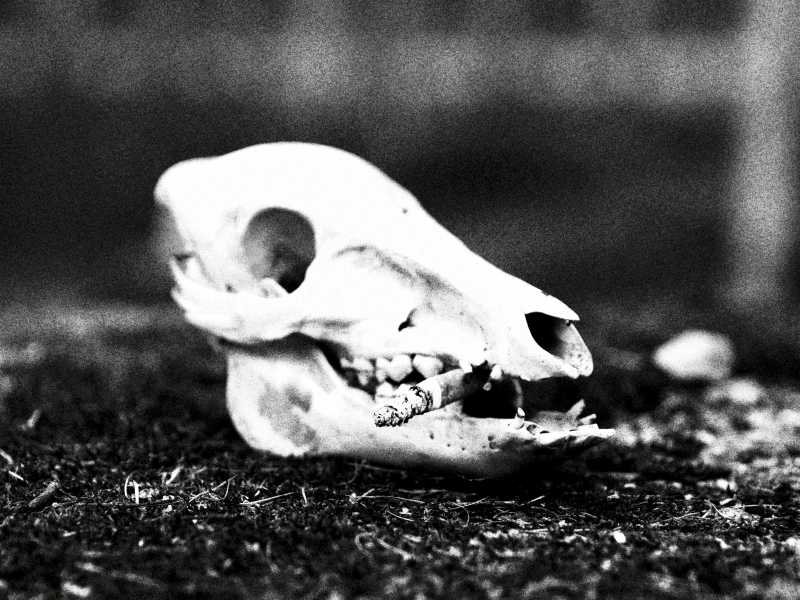 Photo by Finn Mund on Unsplash&nbsp;<br />