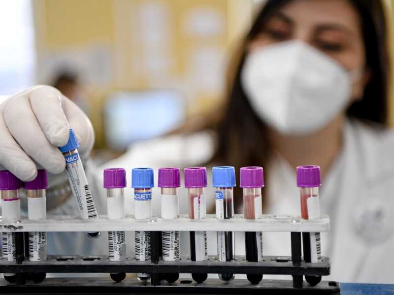 Ecco il virus che verrà