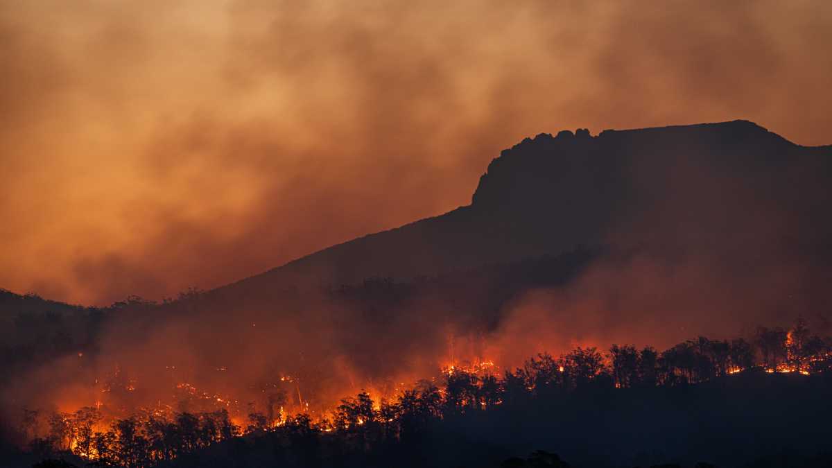 Immagine di No ai miti verdi e no ai negazionisti climatici: è la scienza, bellezza