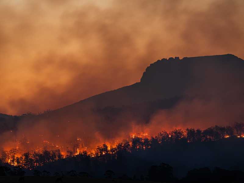 Incendi in Tasmania, Australia, inizio 2021 (foto: Matt Palmer)