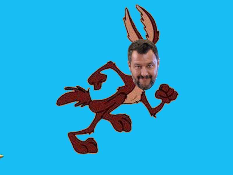 Salvini il coyote