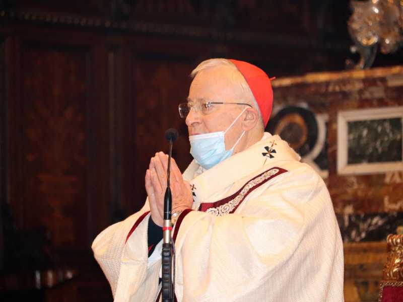 Foto ANSA/GIANLUIGI BASILIETTI&nbsp;<br />