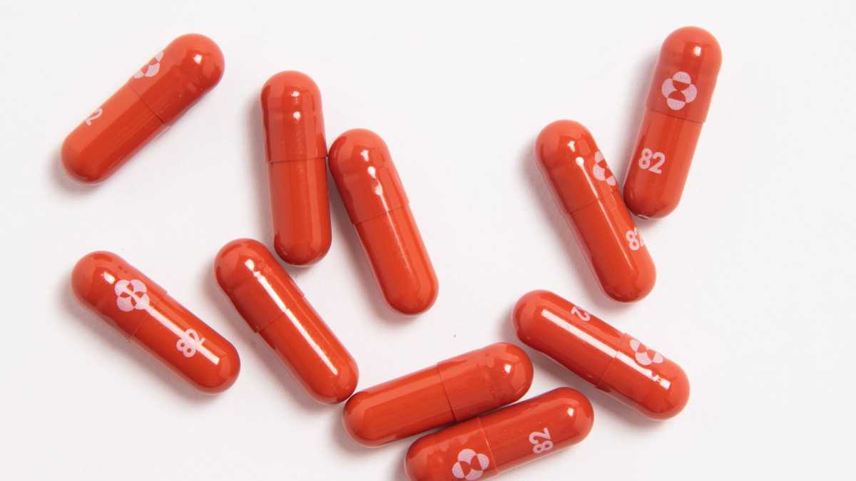 Immagine di L'antivirale molnupiravir ha dato risultati incoraggianti nella cura del Covid-19