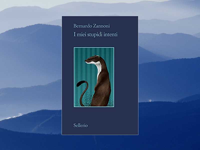 Elaborazione grafica di Francesco Stati&nbsp;