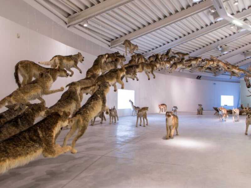 Una mostra del 2019 al Museo Pecci di Prato (foto da Google street view)