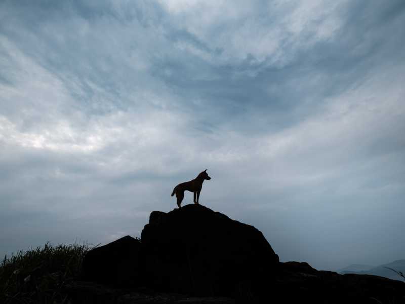 Photo by Patrick Desloge on Unsplash&nbsp;<br />