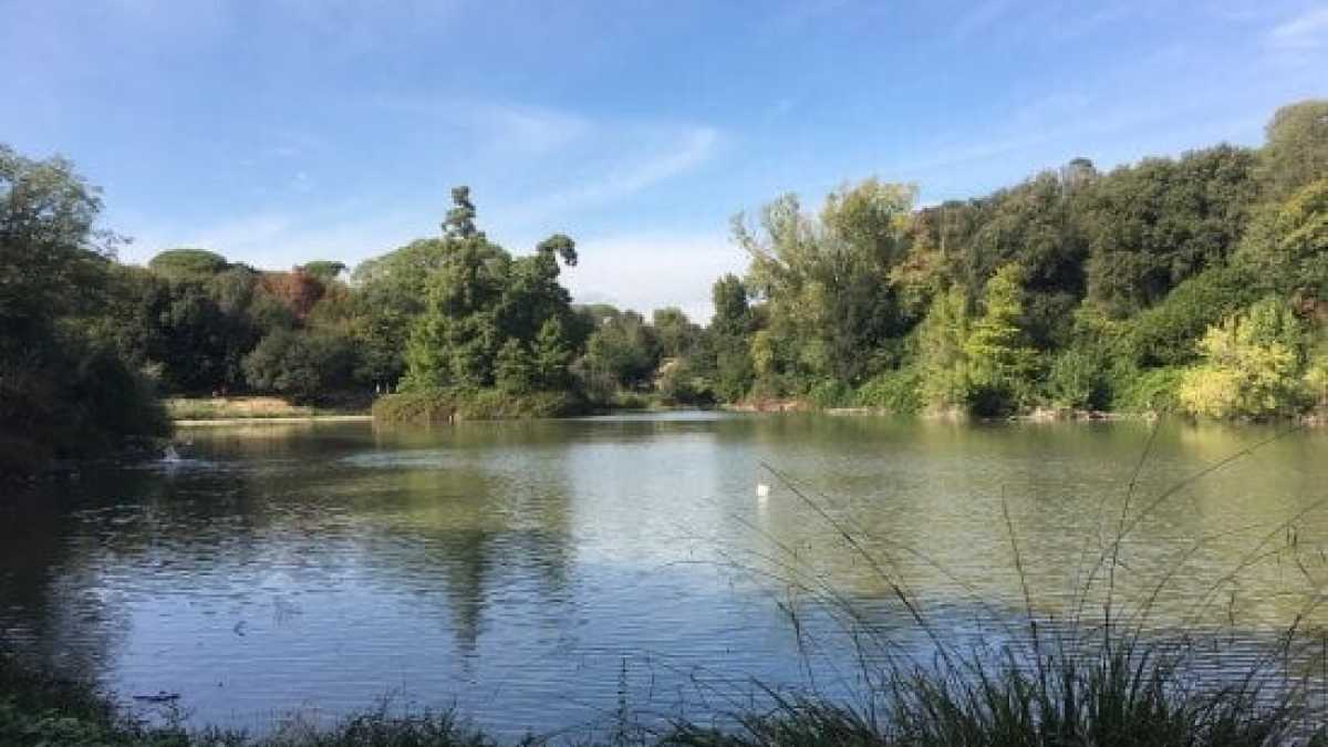 Immagine di A Roma chiude un pezzo di Villa Pamphili: un cigno è morto di aviaria