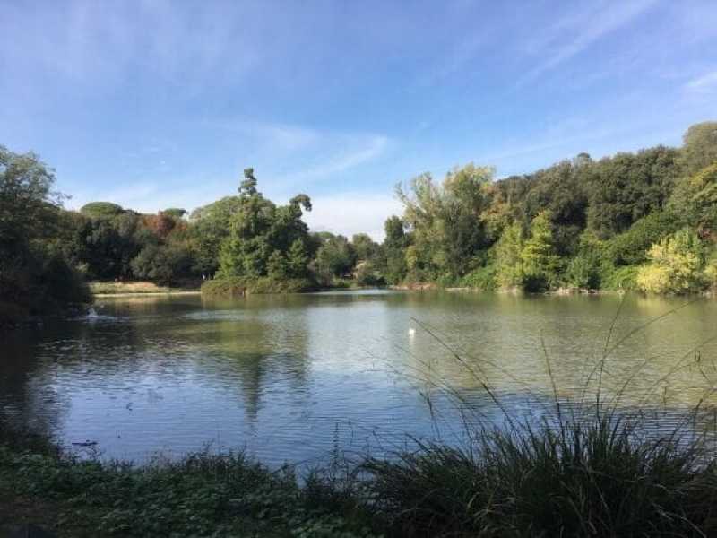 A Roma chiude un pezzo di Villa Pamphili: un cigno è morto di aviaria