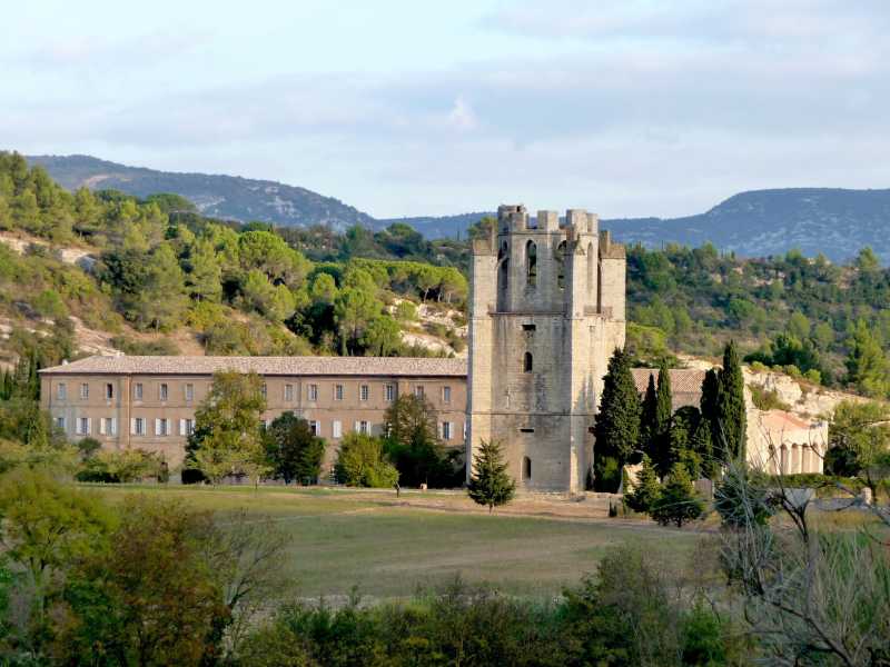 &nbsp;Wikimedia commons