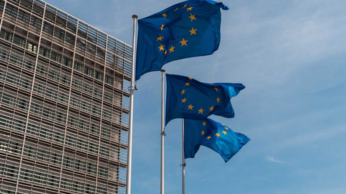 Immagine di Dentro le linee guida dell'Ue: ecco tutti i tic della lingua europea