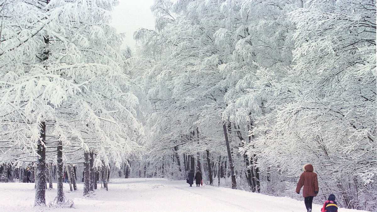 Immagine di Saga di Nano, che voleva sparare agli uccelli e rotolarsi nella neve