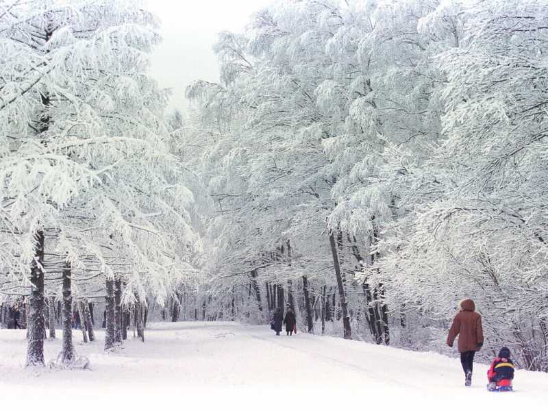 Il parco Izmaylovo di Mosca coperto di neve dopo una tempesta il 17 dicembre 2000 (foto di Oleg Nikishin/Getty Images)&nbsp;<br />