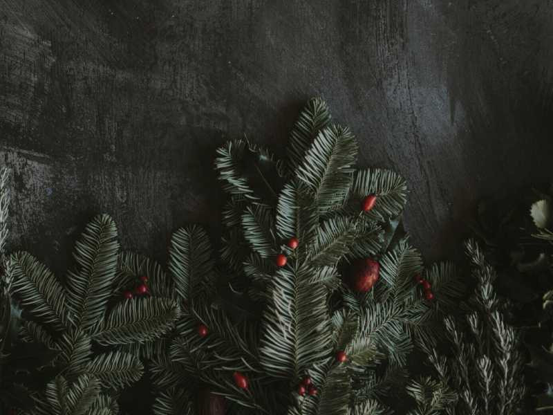Photo by Annie Spratt on Unsplash&nbsp;<br />