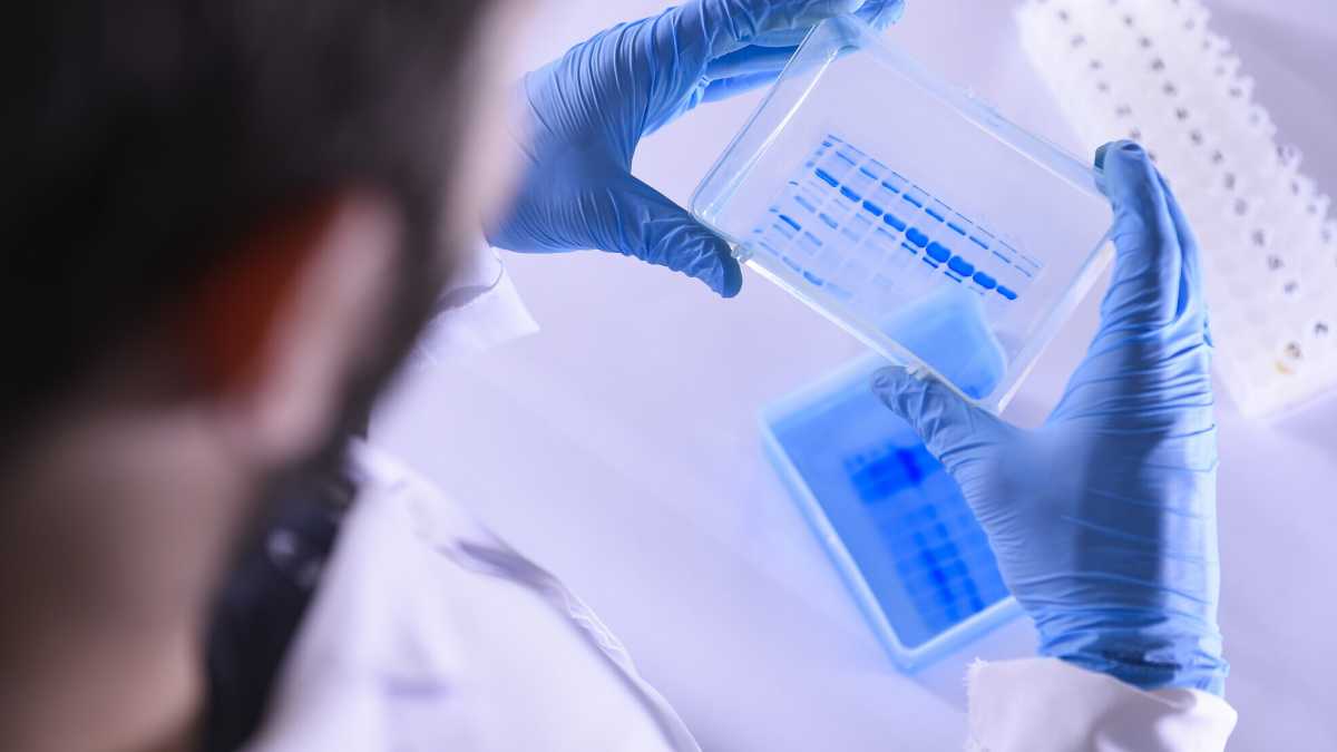 Immagine di L’anno delle fusioni (Big Pharma esclusa)