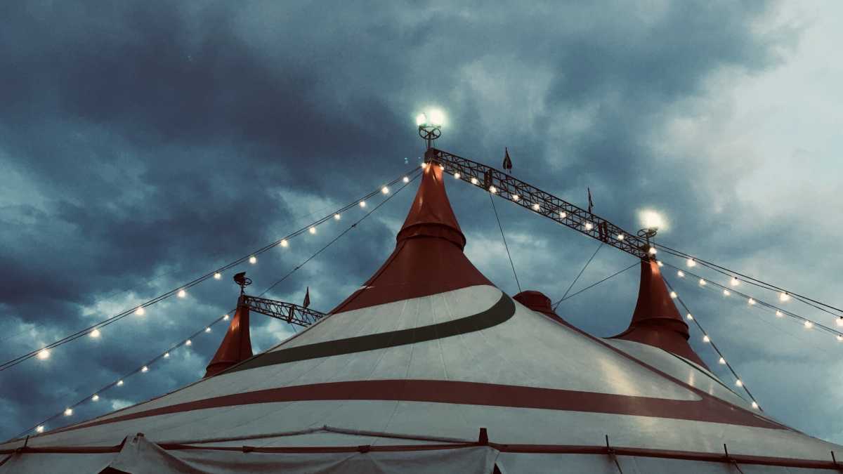 Immagine di Nessuna vergogna se tuo figlio fa il volontario al circo
