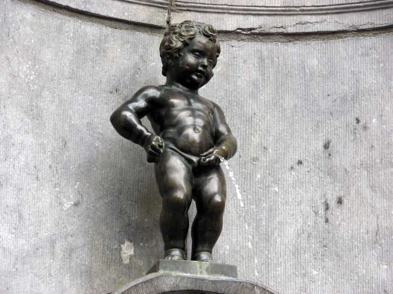 Wikimedia Commons&nbsp;