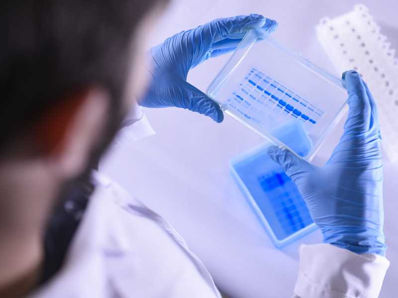 L’anno delle fusioni (Big Pharma esclusa)