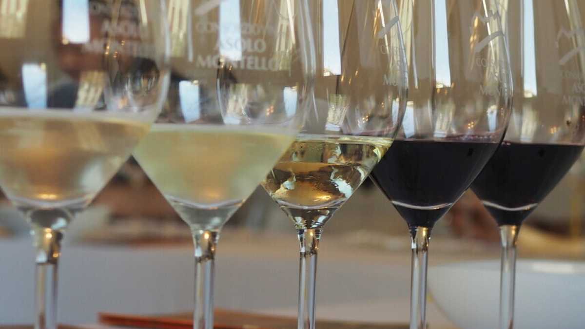 Immagine di Il vino è lo specchio dell’Italia