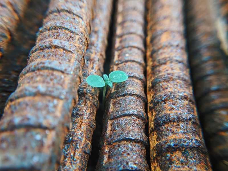 Photo by Faris Mohammed on Unsplash&nbsp;<br />