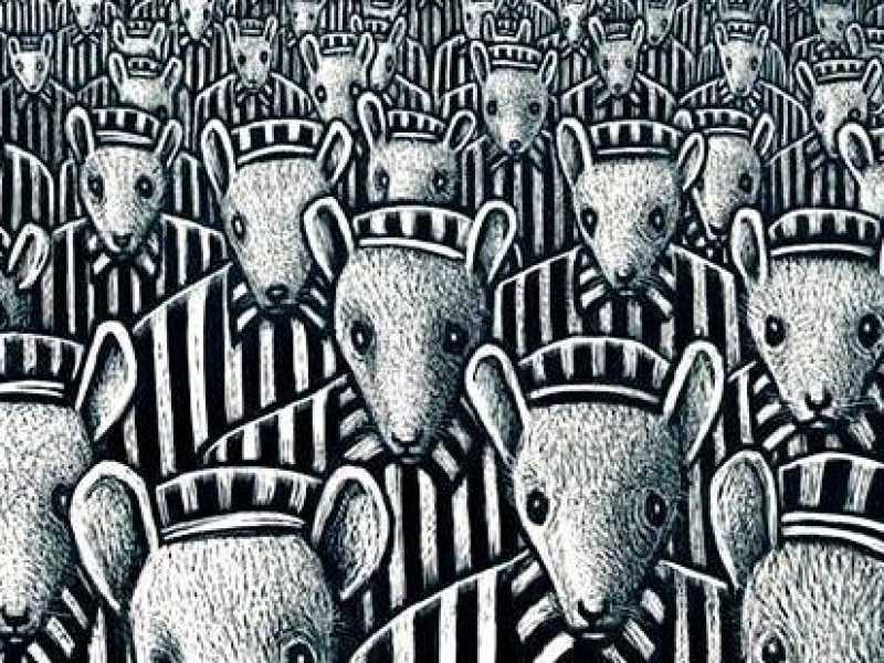 "Maus" di Art Spiegelman cancellato in una scuola del Tennessee