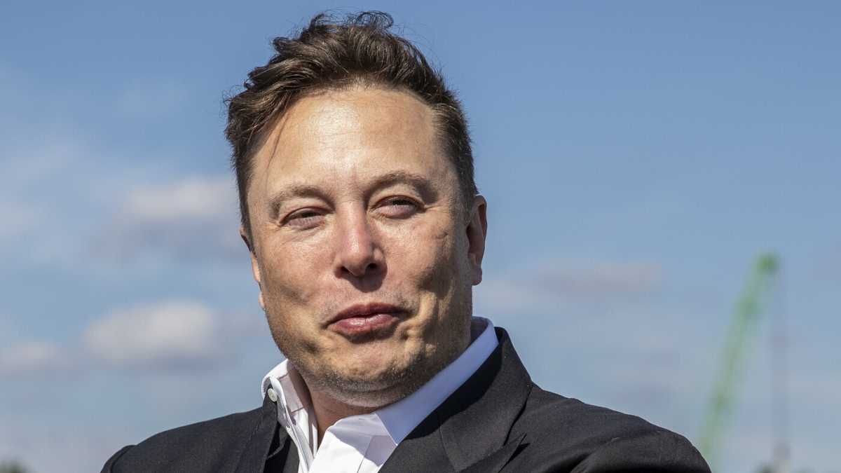 Immagine di Musk contro il pensiero unico