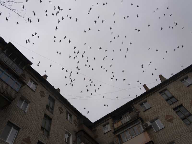 Foto LaPresse / Mstyslav Chernov <br />