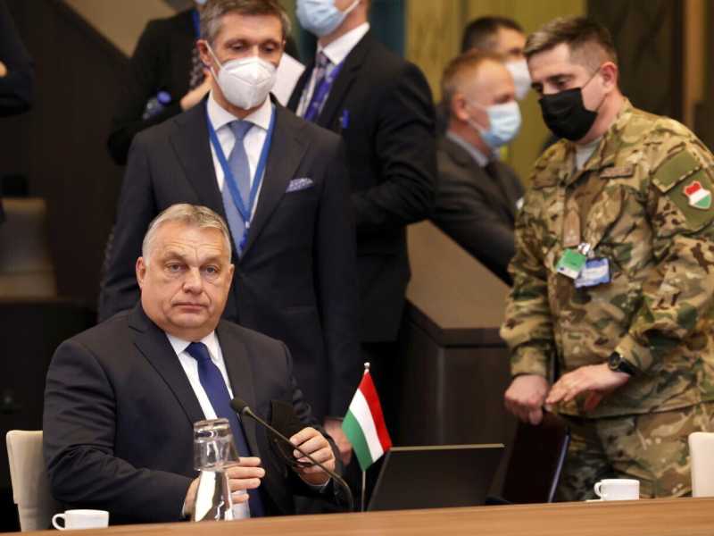 Quanto sta scomodo Orbán nelle giravolte su Putin ora che la paura non è addomesticabile