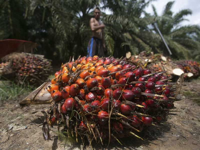 Foto LaPresse / Binsar Bakkara <br /> <br />