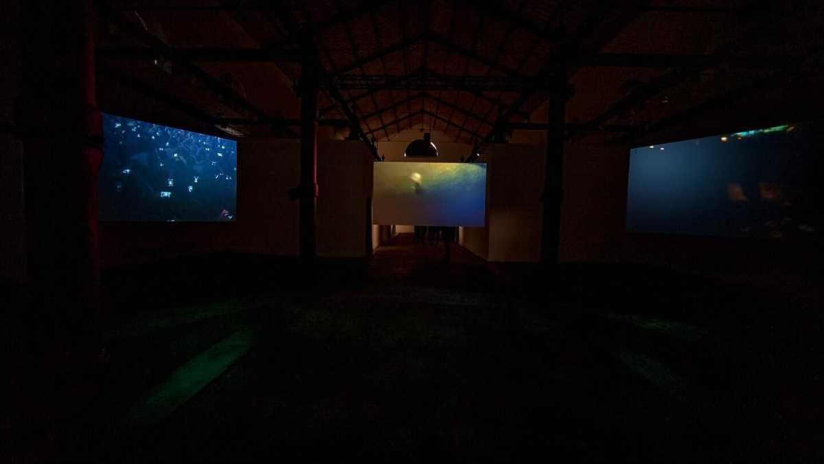Immagine di Periferia dell’agonia: l’arte crudele di Teresa Margolles in mostra