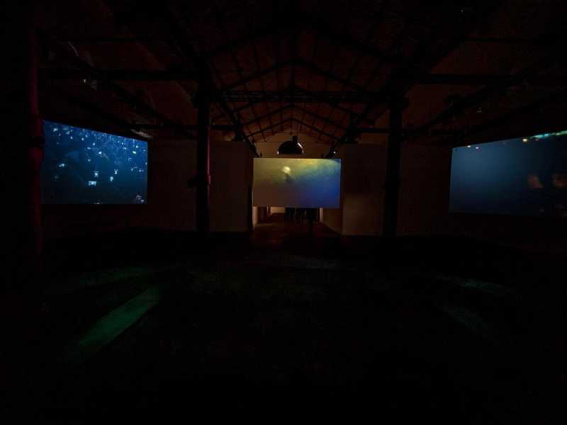 Foto dell'installazione di Teresa Margolles "Periferia dell'agonia" (dal profilo Facebook del Mattatoio di Roma)