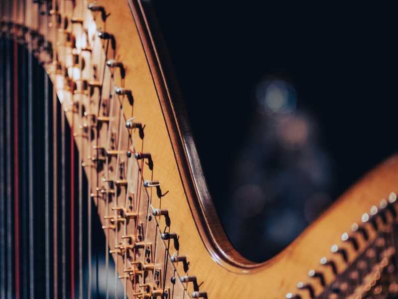 Photo by Victor Serban on Unsplash<br /> <br />