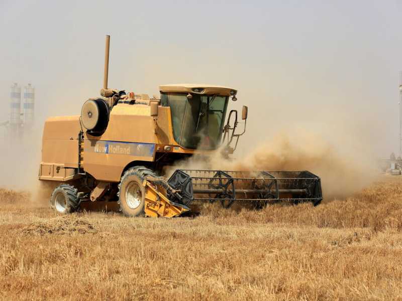 Perché l’Italia non soffrirà il rincaro del prezzo del grano