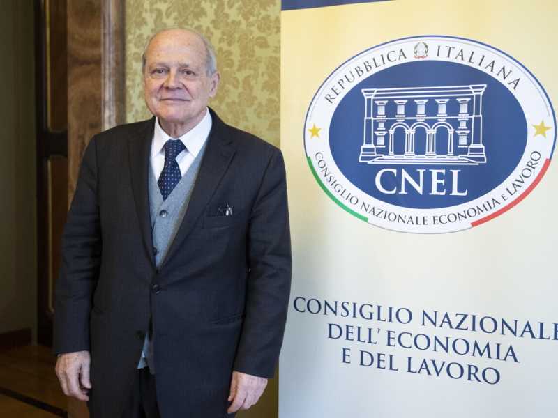 Tiziano Treu (Ansa)