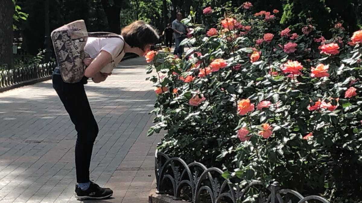 Immagine di Viaggio a Odessa, viva e libera da far rabbia a Putin