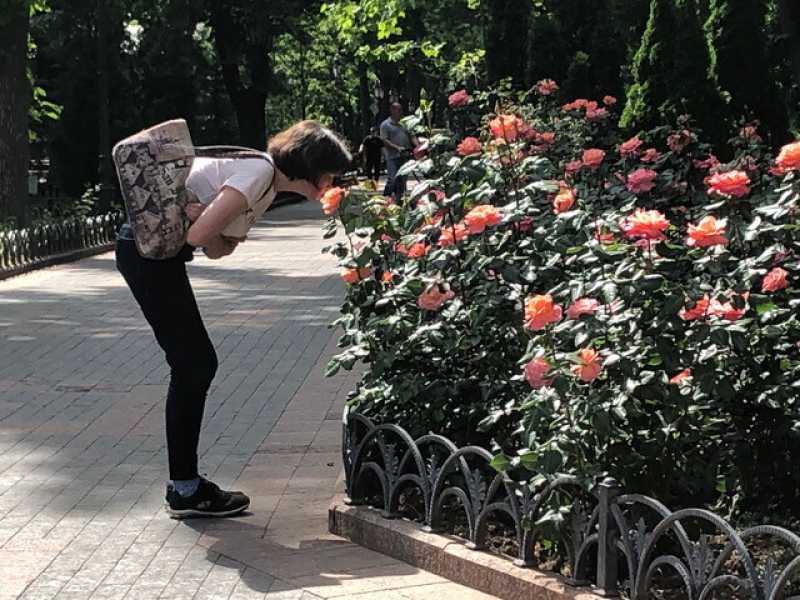 Le rose di Odessa (foto di Adriano Sofri)<br />