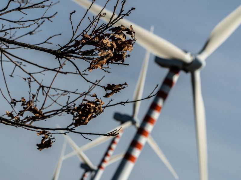 Parco eolico di Durazzano in provincia di Benevento, 18 Febbraio 2022. ANSA/CESARE ABBATE&nbsp;<br />