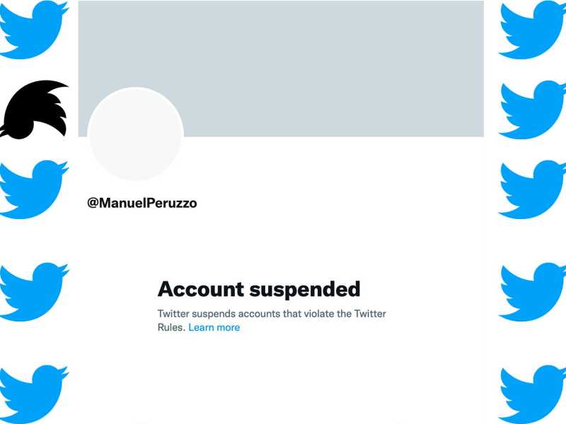 Caro Musk, per restare su Twitter devo diventare uno dei profili fake che odi?