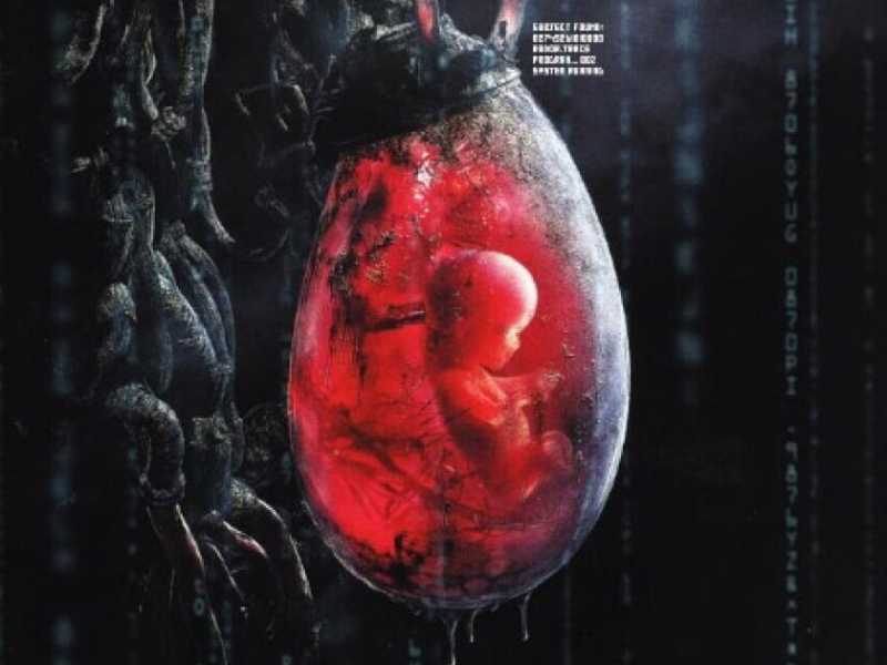  Un’immagine dal film “Matrix” del 1999