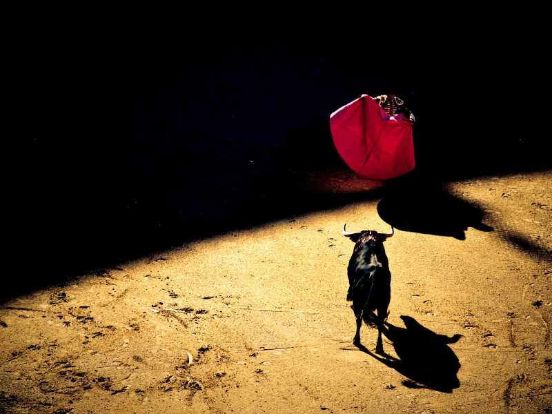 Foto di Unsplash&nbsp;<br />