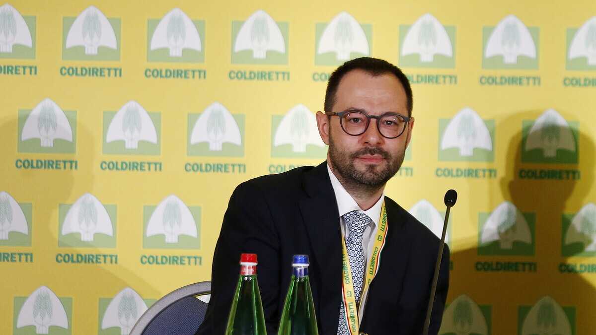 Immagine di Il M5s candida in Puglia un negazionista della pericolosità della Xylella