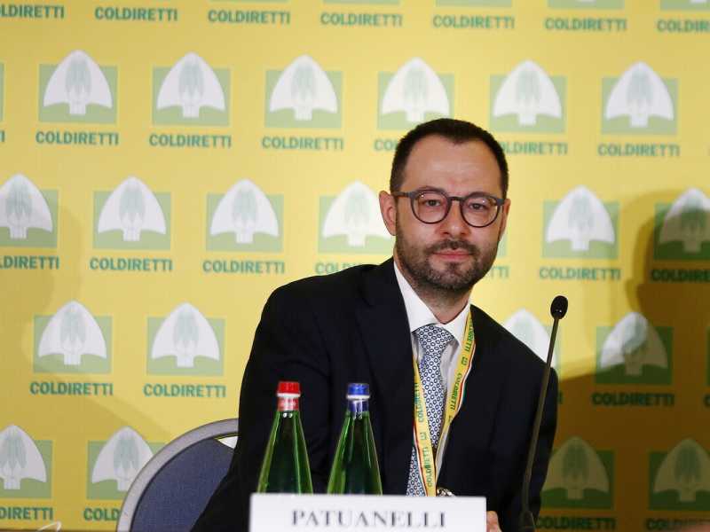 Il M5s candida in Puglia un negazionista della pericolosità della Xylella